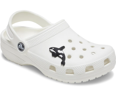 Crocs Jibbitz Arctic Orca Gr8 Gear NZ