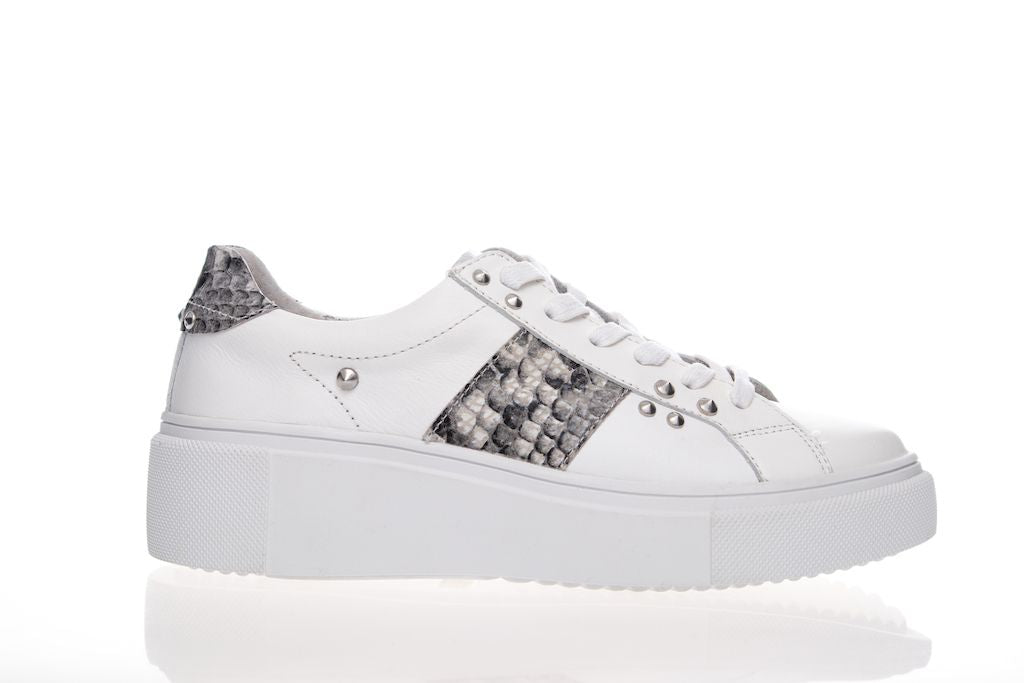 Alfie & Evie Kobe Leather Sneaker white/grey snake