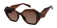 Prive The Bimini Chestnut Sunglasses Gr8 Gear NZ